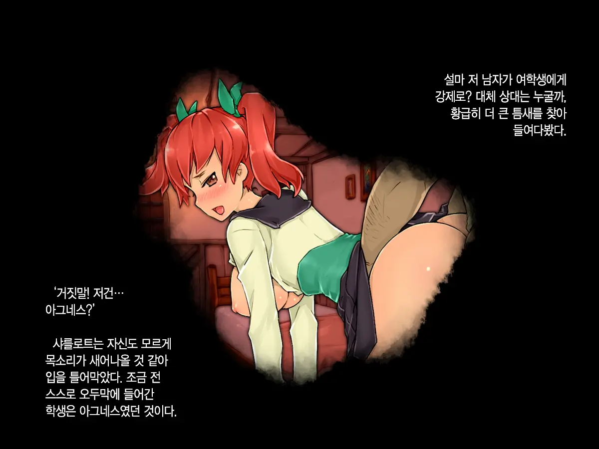 Ojou-Sama Wa Nozoki Ga Osuki ~Shikan Gakkou Inkouroku~ | 아가씨는 엿보기를 좋아해♡ - 사관학교 음행록 -